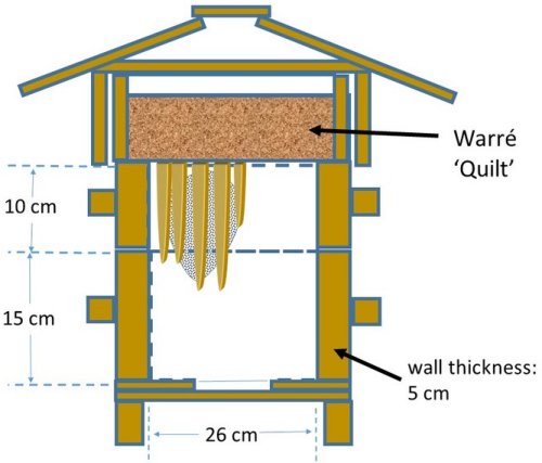 collins_cross_section.jpg (31667 bytes)