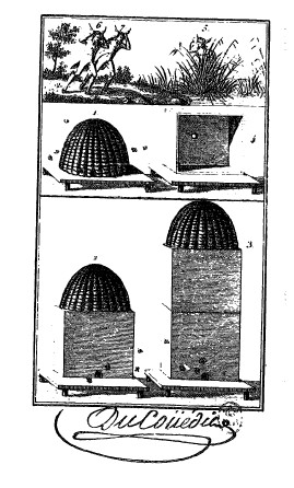 ducouedic_pyramidal.jpg (46279 bytes)