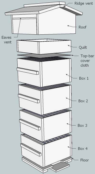 plan_hive_exploded_labelled_shadow.jpg (45457 bytes)